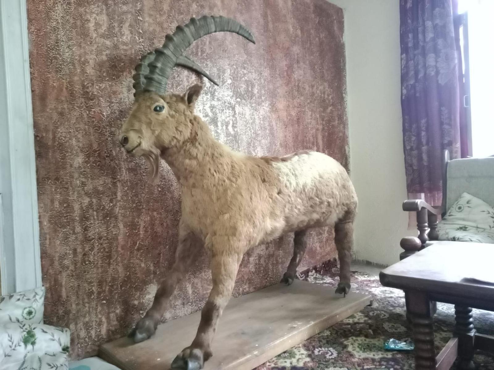 Golden Ibex Resort スカルドゥ エクステリア 写真
